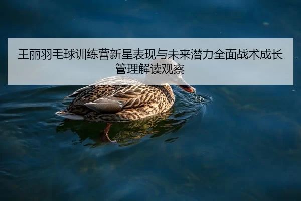王丽羽毛球训练营新星表现与未来潜力全面战术成长管理解读观察